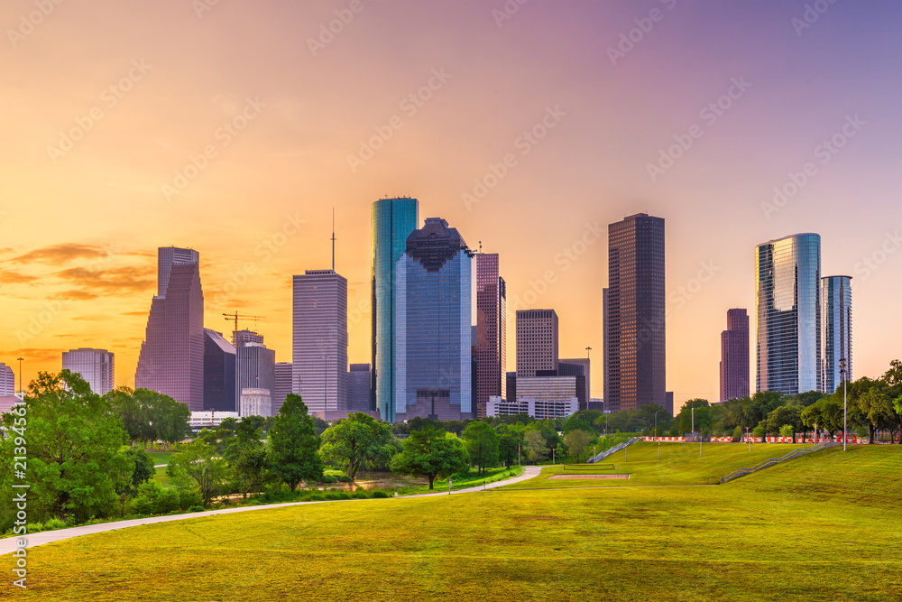 Fototapeta premium Houston, Teksas, USA Skyline