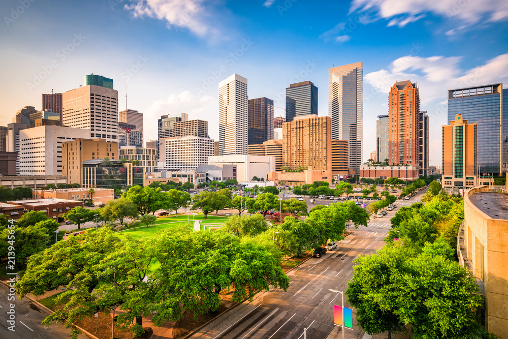 Obraz premium Houston, Texas, USA Skyline