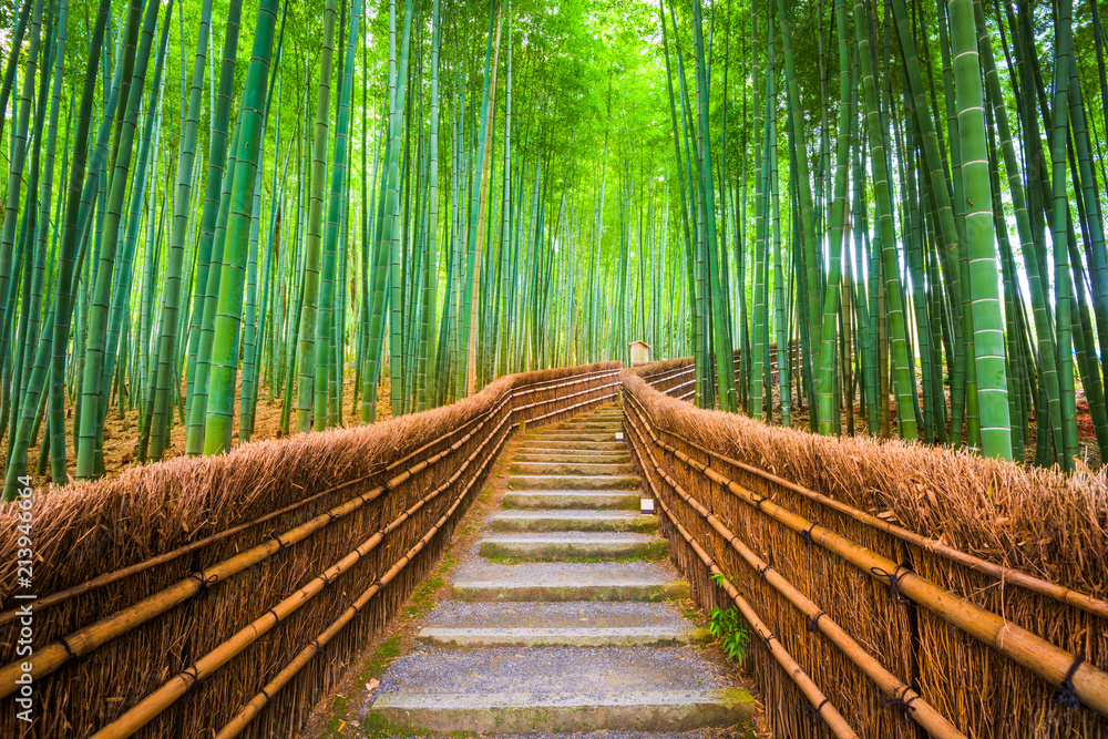 Fototapeta Kioto, Japonia Las bambusowy