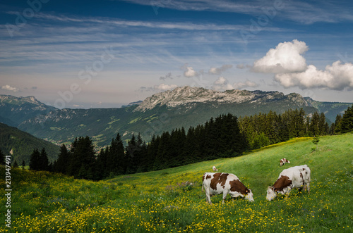 Obraz na plátně La Tête du Danay - Haute-Savoie