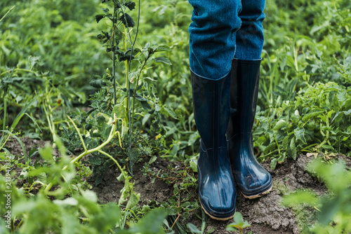 cropped image of farmer standing in rubber boots in field
