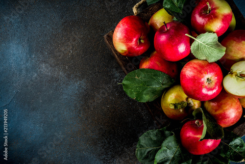 Raw fresh apples on dark blue background, copy space