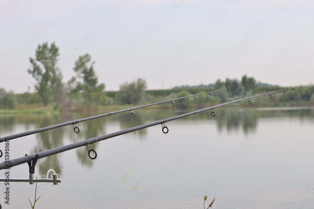 fishing with rods on the lake fishing with rods on the lake