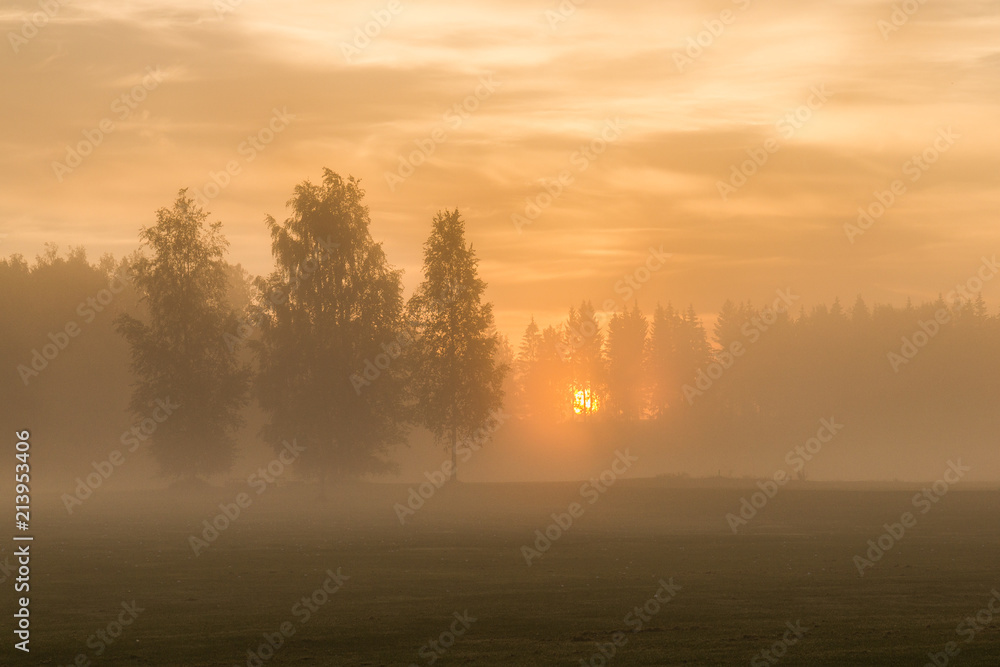 Beautiful and picturesque morning light peaking through trees and fog covered meadow. Romantic scene. Quiet, peaceful, relaxing. Finland, Suomi, Scandinavia.