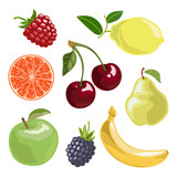 The fruit set. Vector illustration in cartoon style.