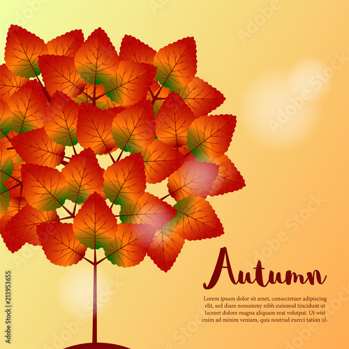 Fototapeta Naklejka Na Ścianę i Meble -  autumn background with tree leaves for greeting card
