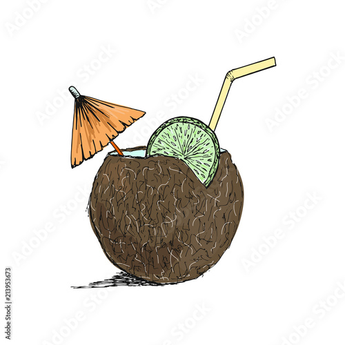 Exotic coconut cocktail sketch. Hand drawn vector illustration.