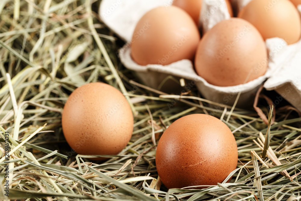 brown chicken eggs brown chicken eggs