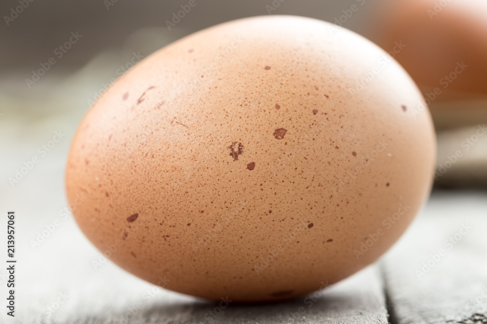 fresh chicken egg fresh chicken egg
