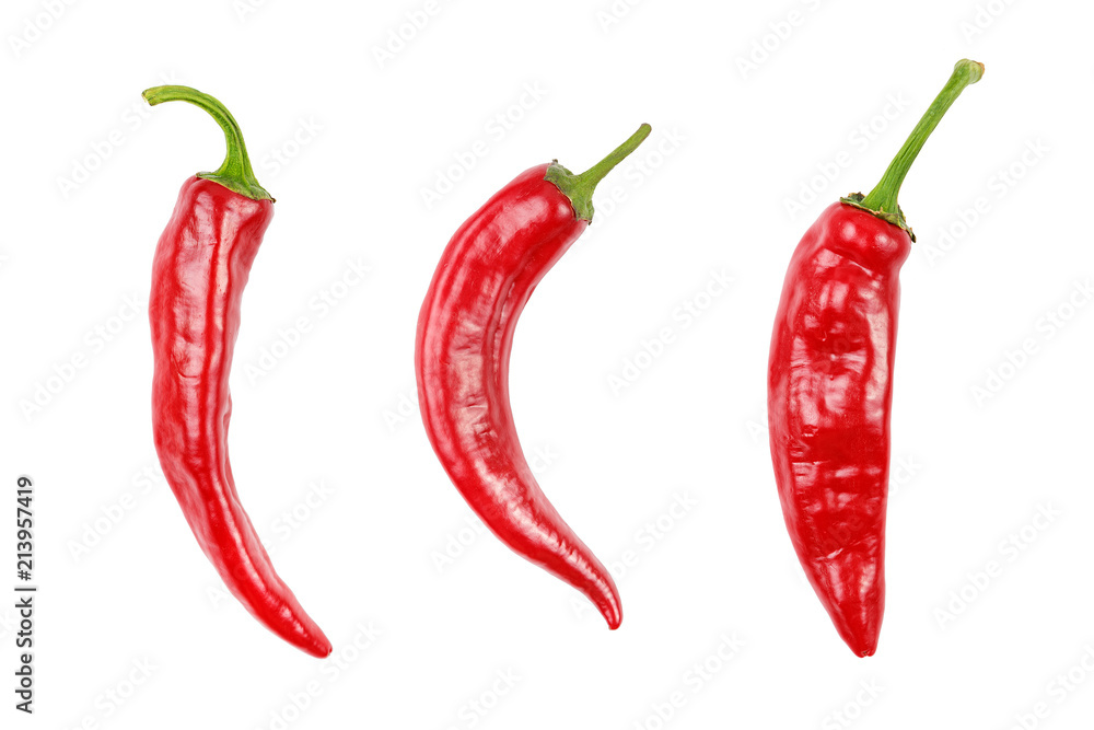 chili peppers isolated chili peppers isolated