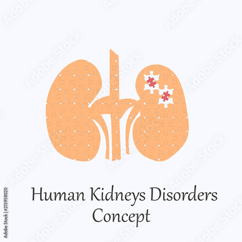 Human Kidneys Filled with Puzzle Pattern