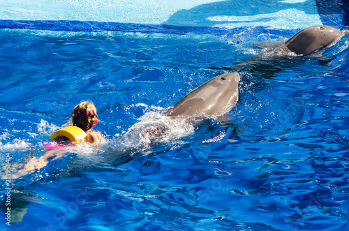 Girl swims in pool with dolphins back view