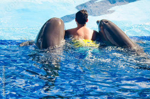 Man swims in pool with dolphins back view
