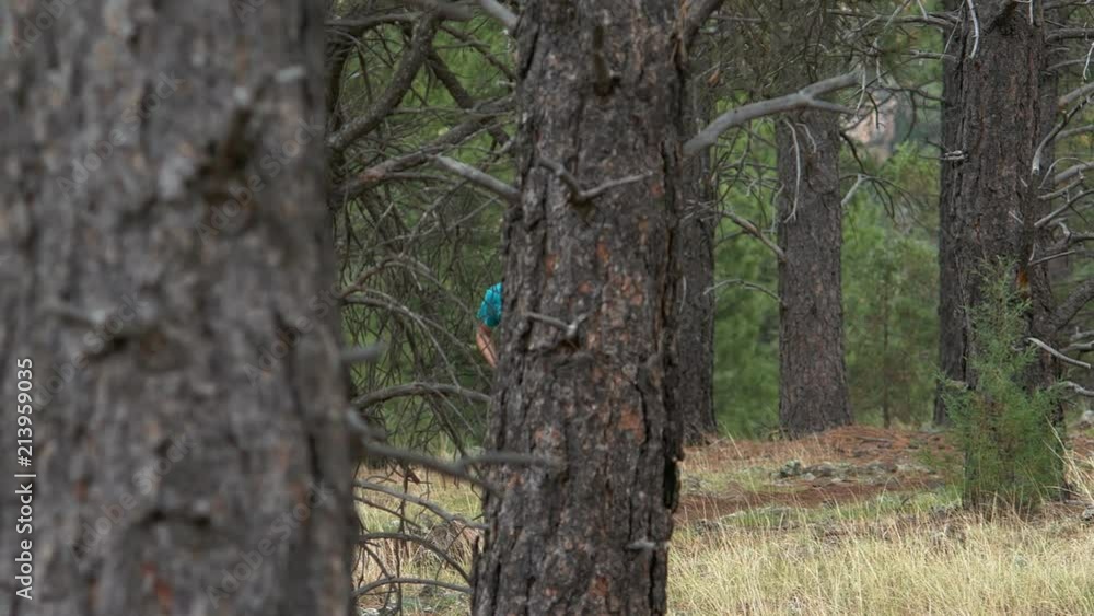 A man running on a trail through the woods A man running on a trail through the woods
