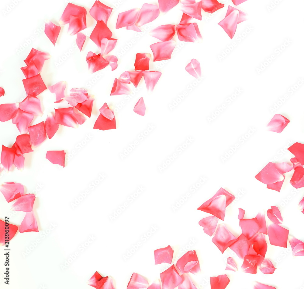 Flowers background. Frame of petals pattern of pink roses on a white background. top view.copy space Flowers background. Frame of petals pattern of pink roses on a white background. top view.copy space