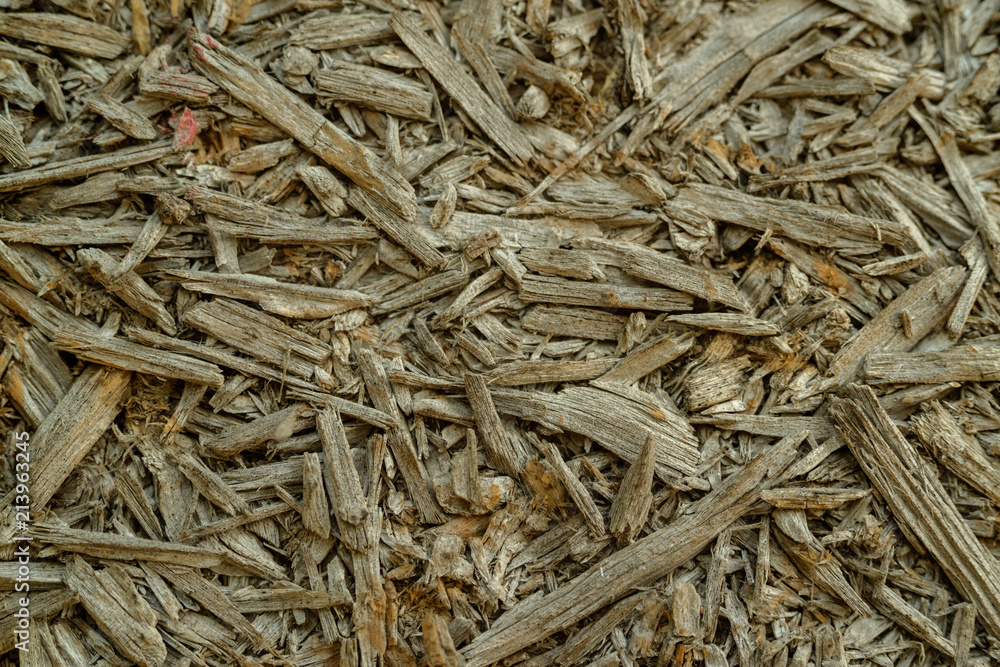 wood texture, background