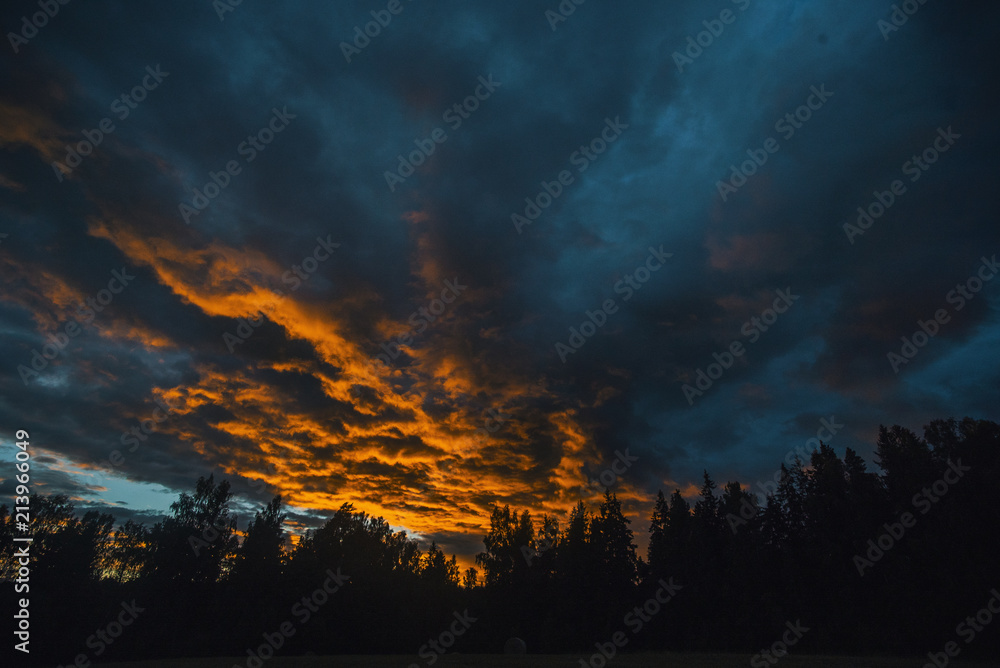 Dramatic sunset over forest
