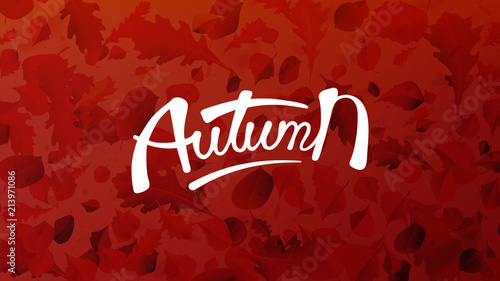 Stock vector illustration autumn falling leaves on background. Autumnal foliage fall and poplar leaf flying in wind motion blur. Orange design for autumn design EPS10