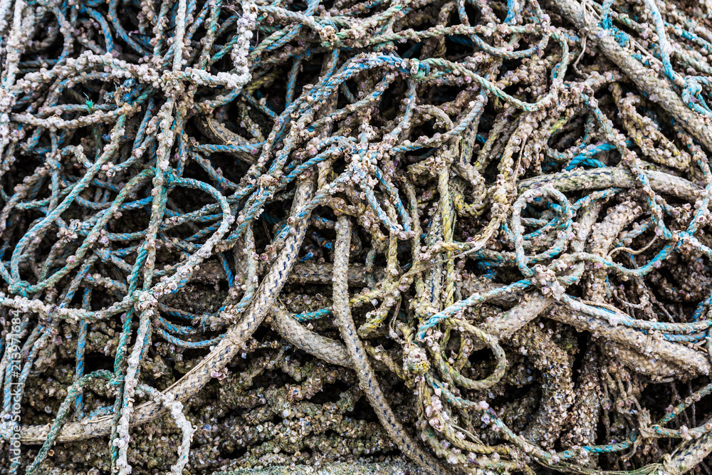  Marine fishing net