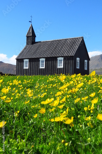 Budir black church with field of buttercups, snaefellsnes peninsula, iceland