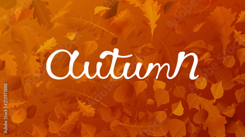 Stock vector illustration autumn falling leaves on background. Autumnal foliage fall and poplar leaf flying in wind motion blur. Orange design for autumn design EPS10
