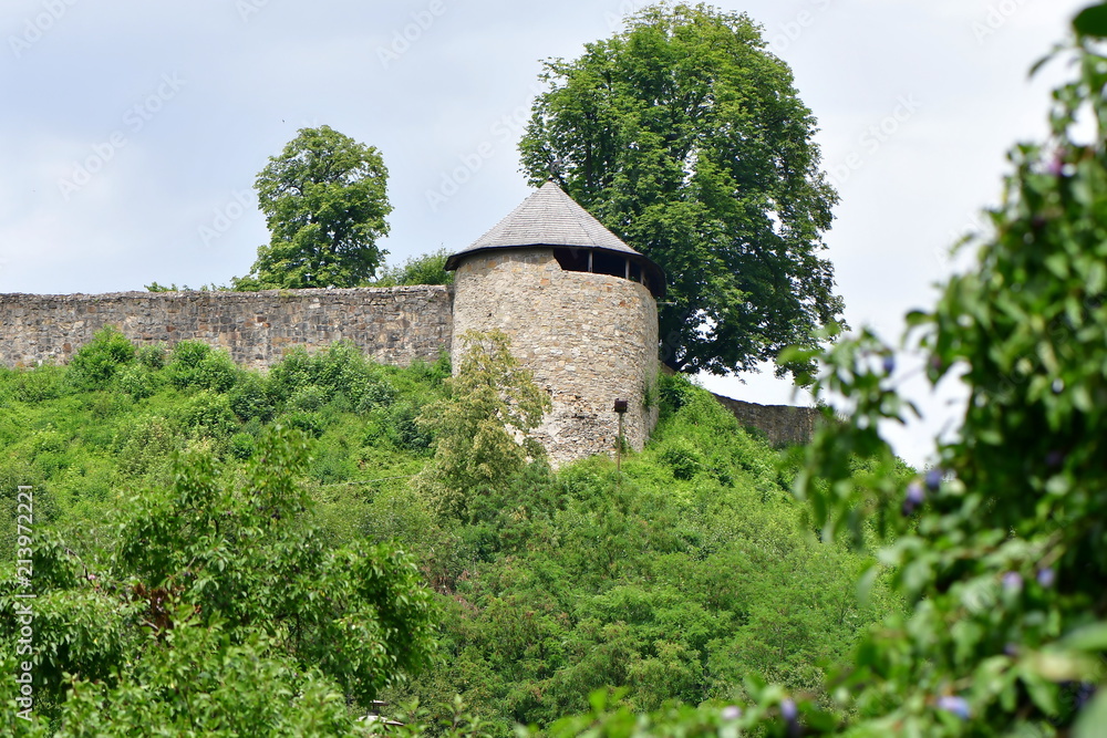 Fototapeta premium oldest castle in Czech republic,Brumov castle