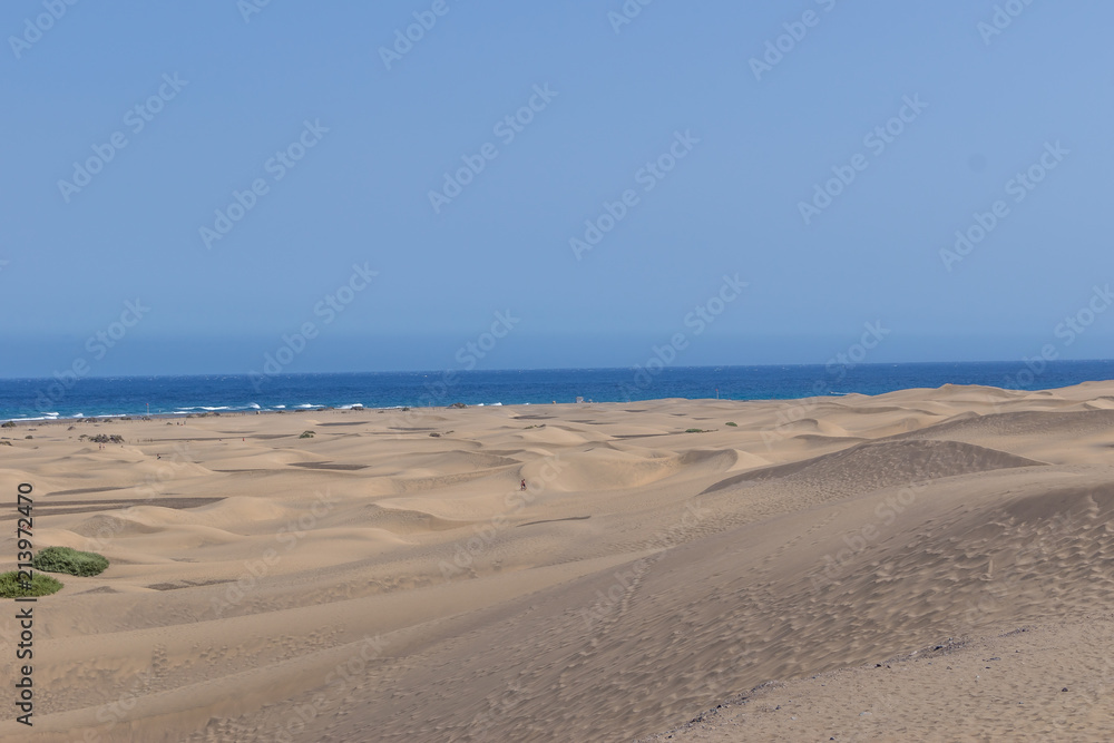 dunes of gran canaria