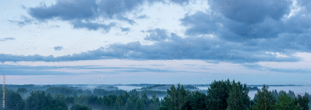 Fototapeta premium Misty Forest on Summer Evening