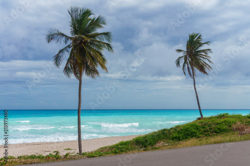 Two palm trees on a background of azure Caribbean sea and the grey rainy sky