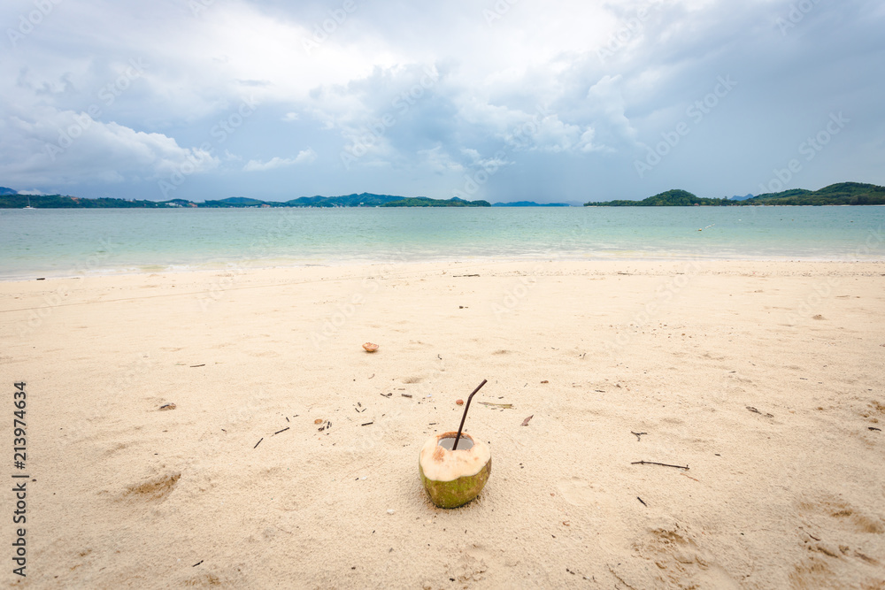 fresh drinking coconut put on the beach with some branch broke from pine tree and trash on the sand fresh drinking coconut put on the beach with some branch broke from pine tree and trash on the sand