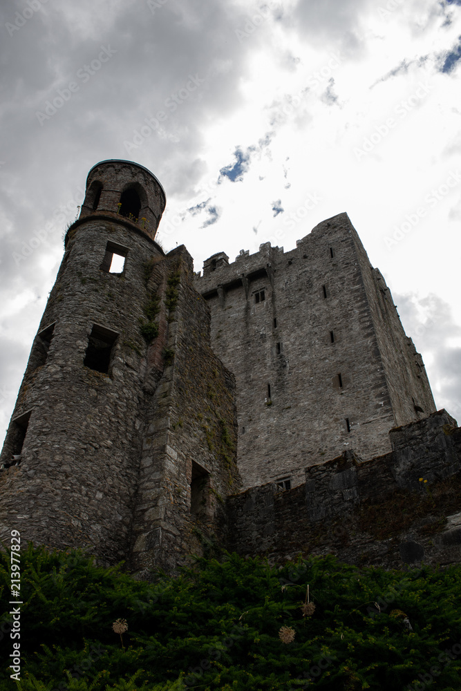 Empty Tower Empty Tower