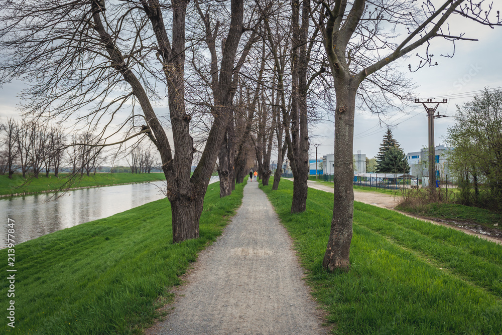 Footpath on a flood embankment of River Morava in Uherske Hradiste, small city in Czech Republic