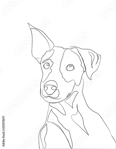 dog portrait, lines, vector