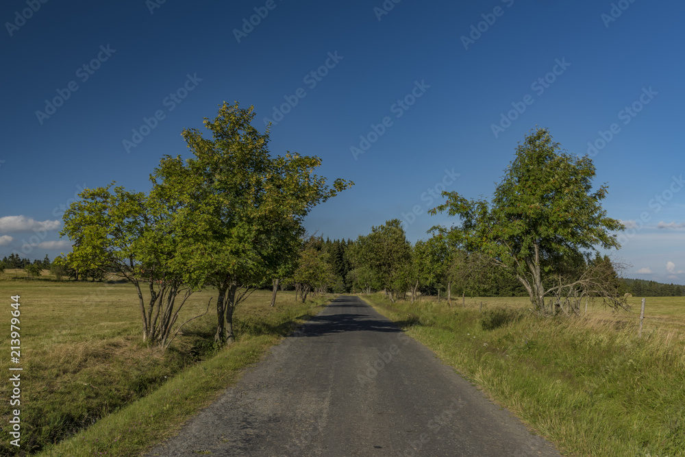 Road in Slavkovsky les mountains in summer sunset time