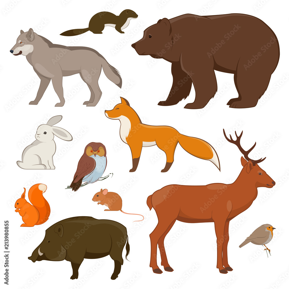 Set of forest wild animals and birds. Deer, fox, hare, wolf, etc. Vector illustration 
