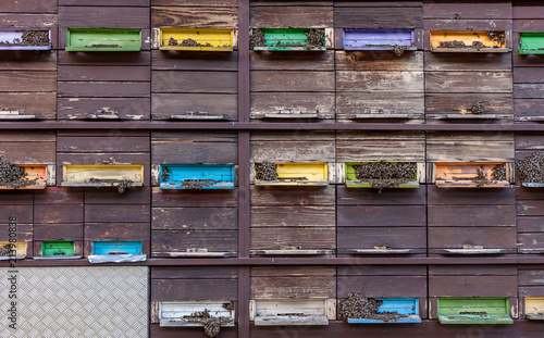 beehive in truck