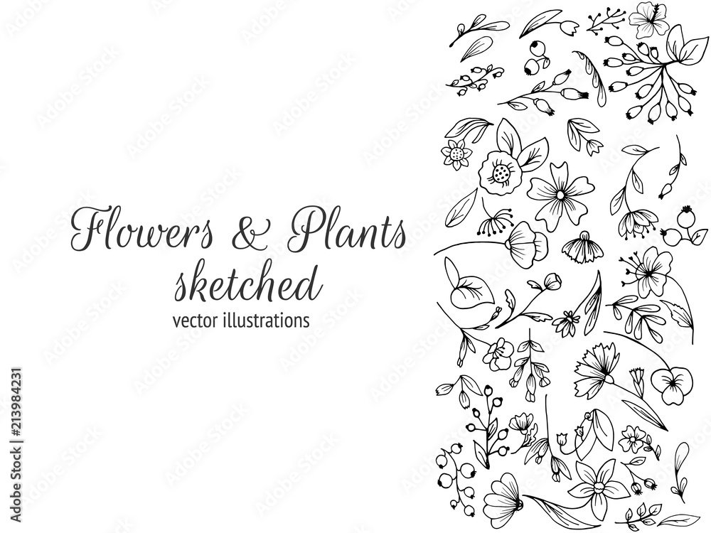 Frame composed of flowers.Hand drawn flowers, sketched flowers and plants, black and white, monochrome. Vector illustration. Frame composed of flowers.Hand drawn flowers, sketched flowers and plants, black and white, monochrome. Vector illustration.