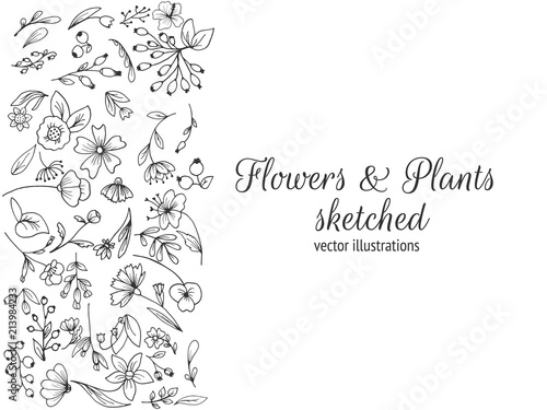 Frame composed of flowers.Hand drawn flowers  sketched flowers and plants  black and white  monochrome. Vector illustration.