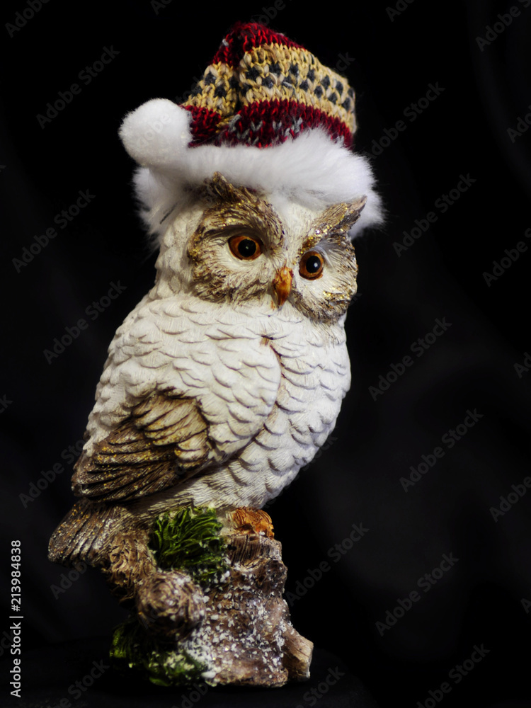 Obraz premium owl