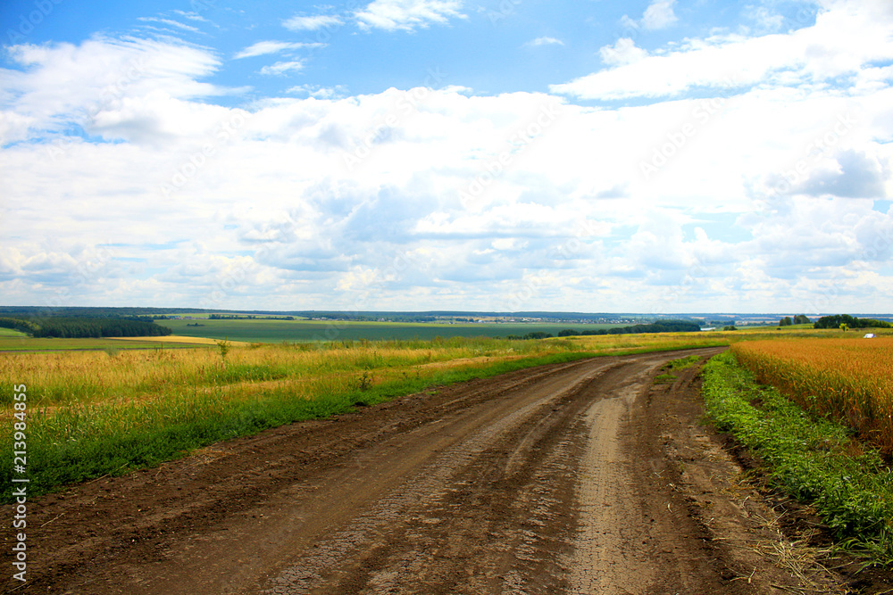 Landscape colored fields, blue sky and dirt road goes to the distance Landscape colored fields, blue sky and dirt road goes to the distance