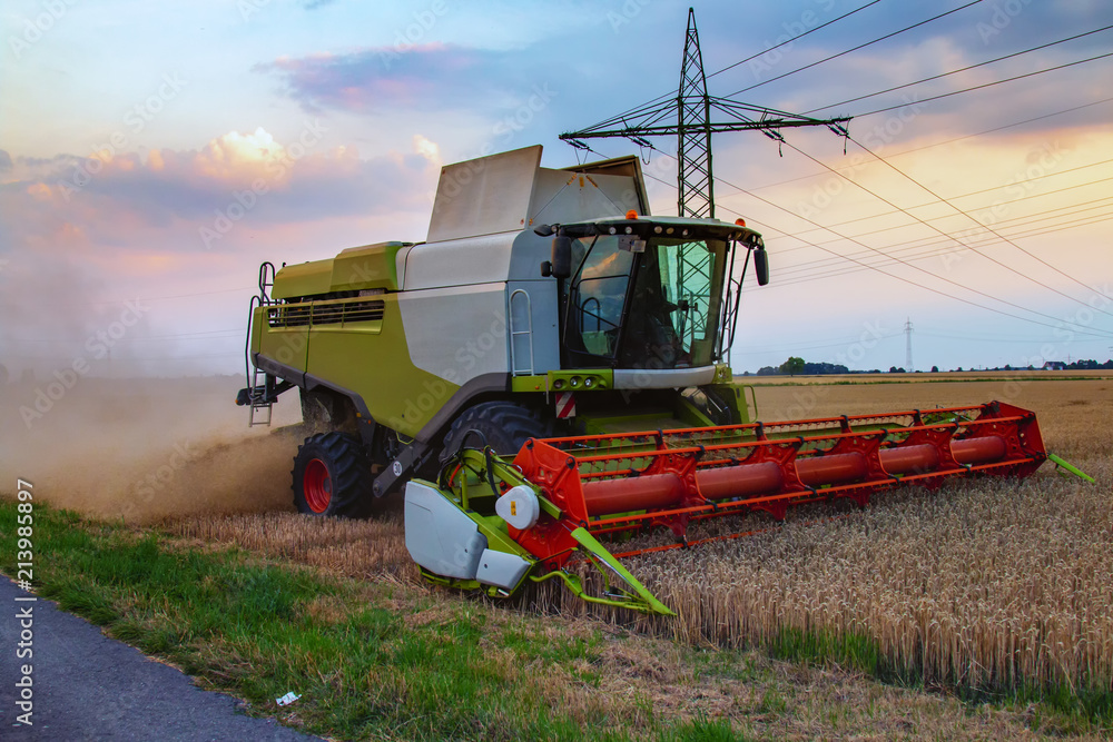 Fototapeta premium Erntefahrt