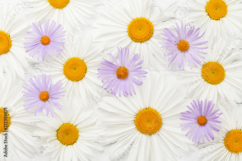 Garden chamomile flowers on wooden background