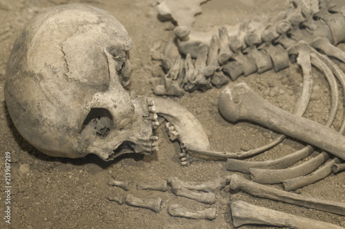 Archaeologists excavated the skeleton of a man of bones and skull with an open mouth in the ground. Prehistoric, Caveman