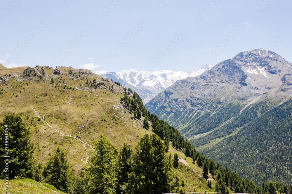 Pontresina, Piz Palü, Diavolezza, Bernina, Val Bernina, Muottas Muragl, Wanderweg, Panoramaweg, Alpen, Graubünden, Oberengadin, Sommer, Schweiz