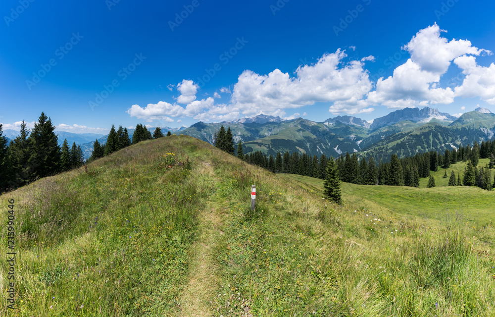 hiking trail leading along a crest off a grassy hill with a great mountain landscape view behind in Switzerland