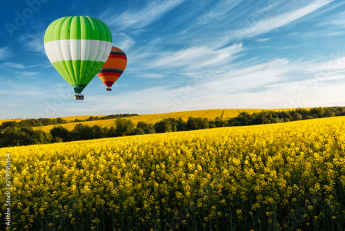 Yellow rape field on blue sky background. Landscape photography