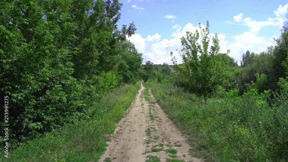 4k Walking On Nature 4k Walking On Nature