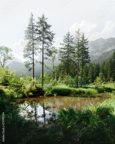 Amazing misty summer day on the Hintersee lake in Austrian Alps, Europe. Landscape photography