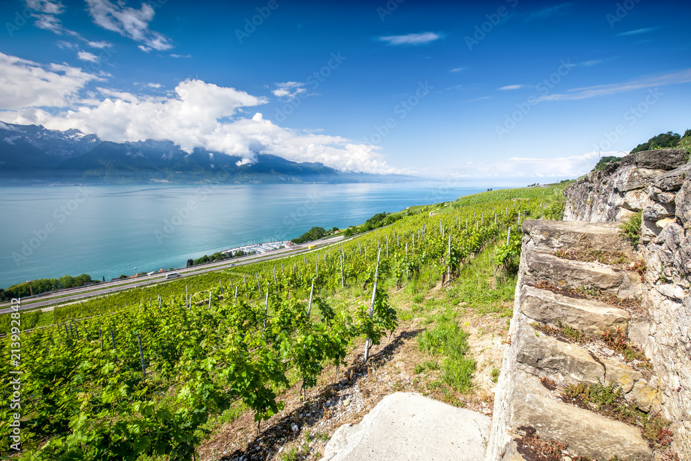 Panorama view of Villeneuve city with Swiss Alps, lake Geneva and vineyard on Lavaux region