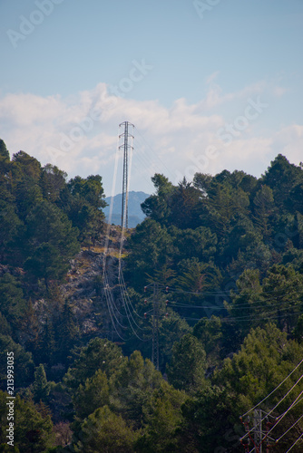 power lines cutting through forest in grazalema, andalusia, spain